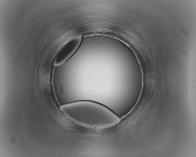 X0000112040881200908101359