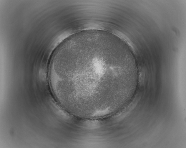 X0000112040882200908101359