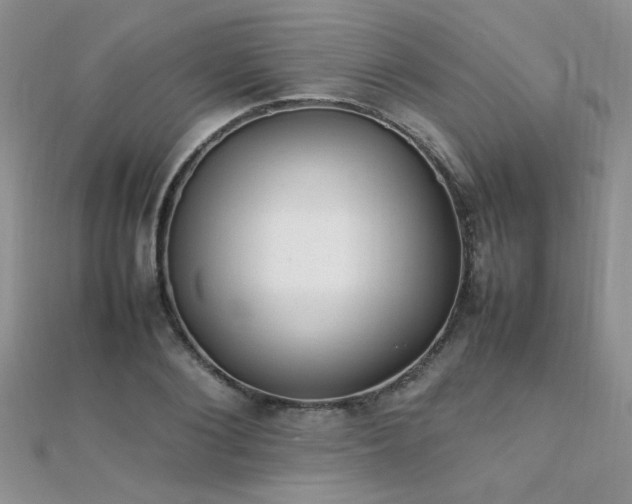 X0000112040884200908101359