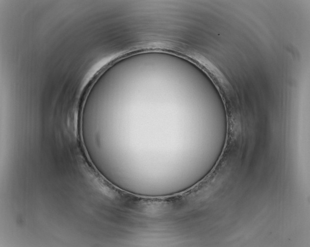 X0000112040886200908101358
