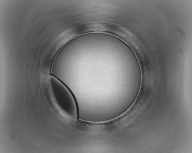 X0000112040889200908101358