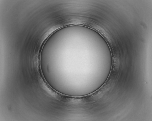 X0000112040890200908101358