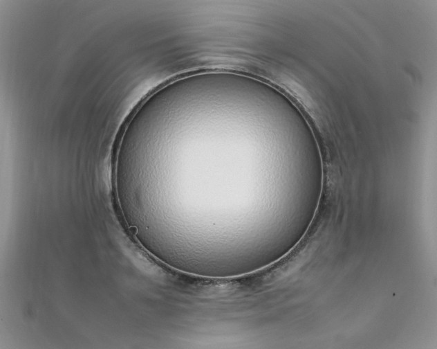 X0000112040891200908101358