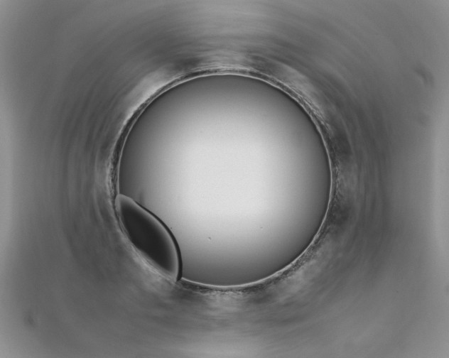 X0000112040893200908101358