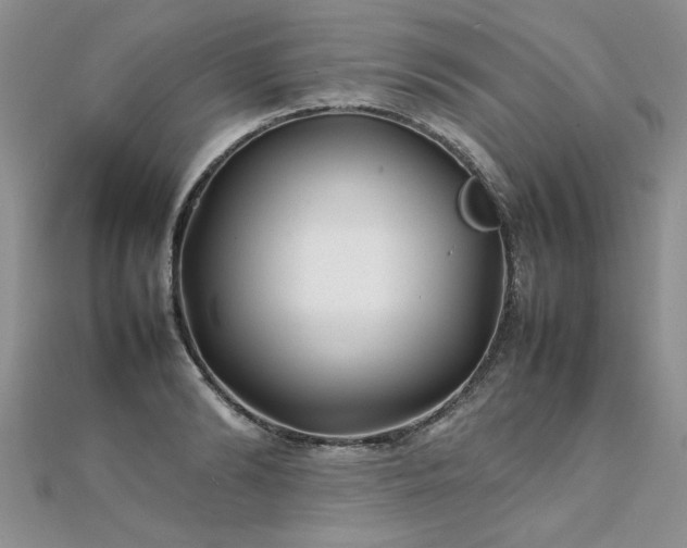X0000112040894200908101358