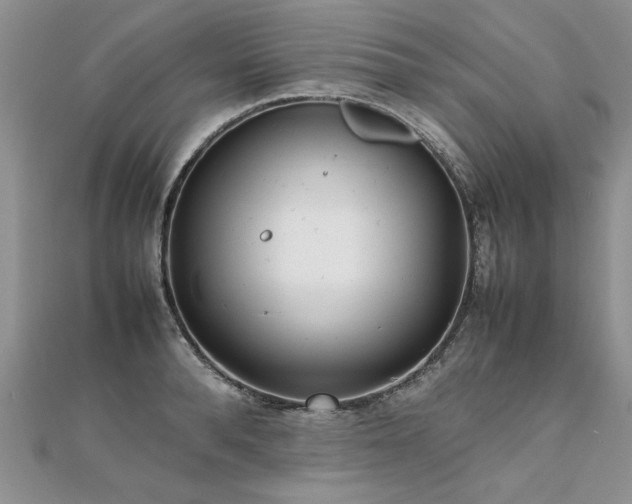 X0000112040896200908101358