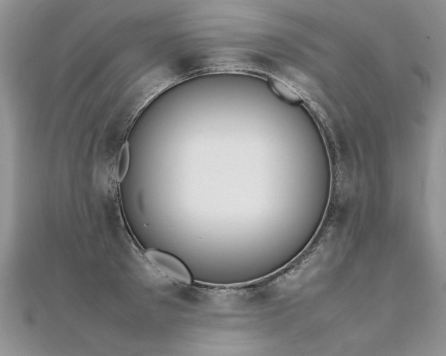 X0000112040897200908101358