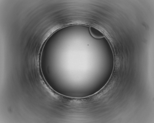 X0000112040898200908101358