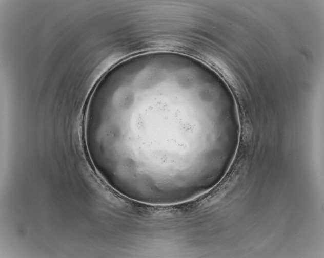 X0000112040899200908101358