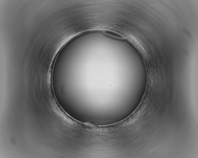 X0000112040900200908101358
