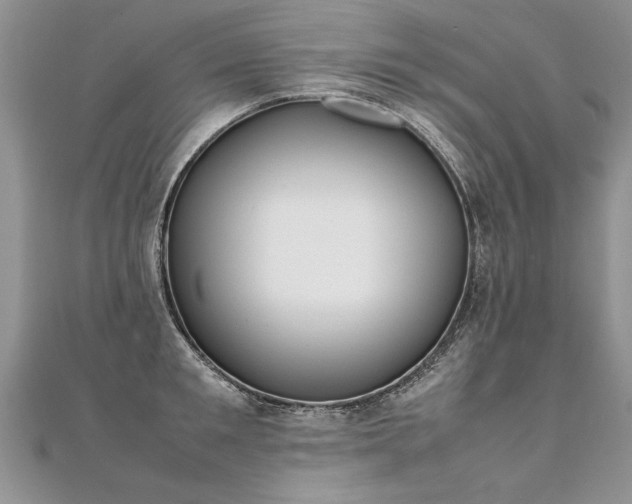 X0000112040901200908101358