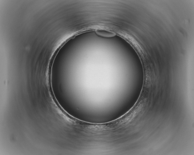 X0000112040902200908101358