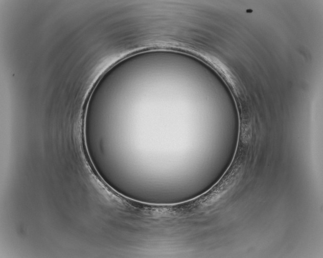 X0000112040903200908101358