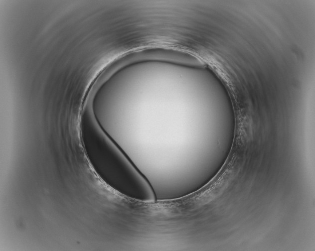 X0000112040904200908101358