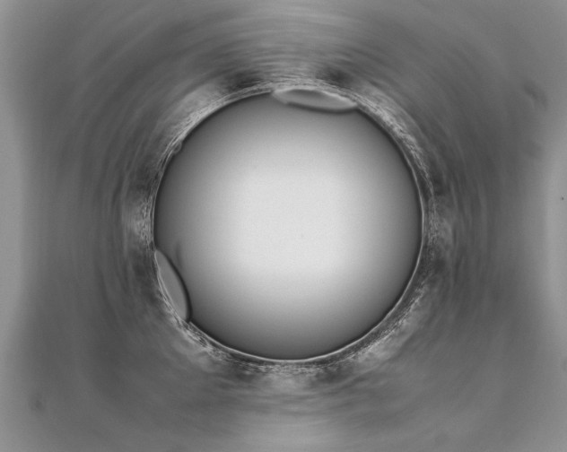 X0000112040905200908101358