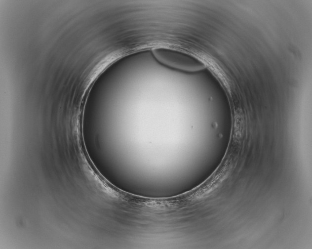 X0000112040906200908101358
