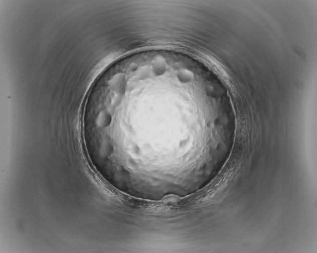 X0000112040907200908101358