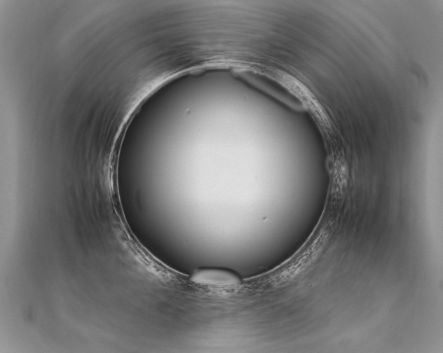 X0000112040908200908101358