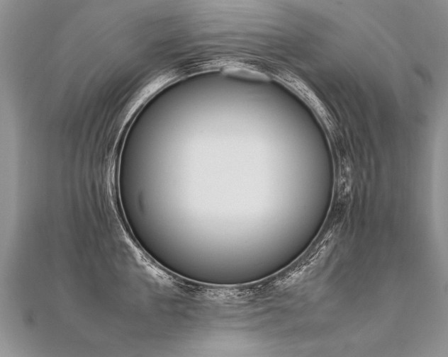X0000112040909200908101358
