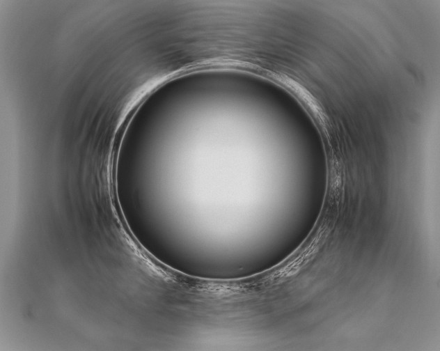 X0000112040910200908101358