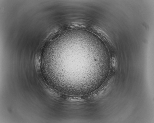 X0000112040915200908101357