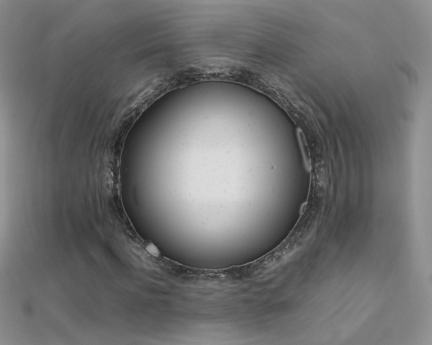 X0000112040916200908101357