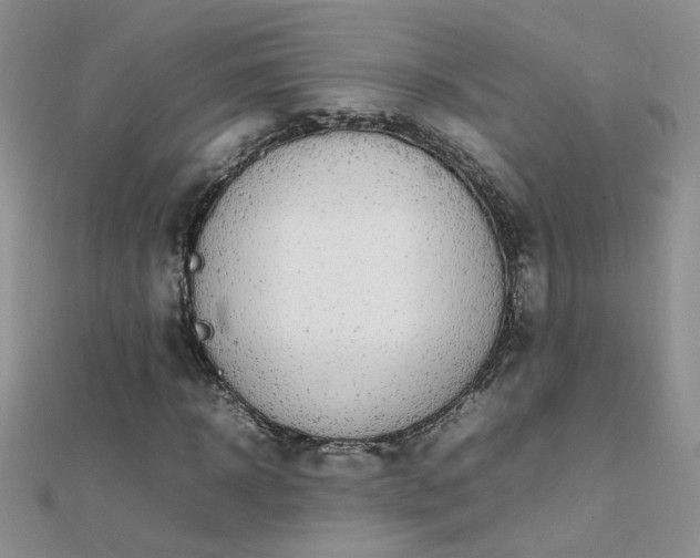 X0000112040918200908101357