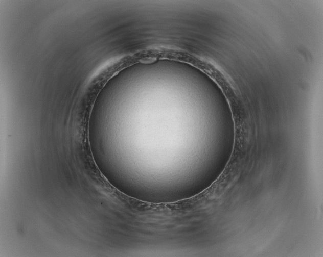 X0000112040919200908101357