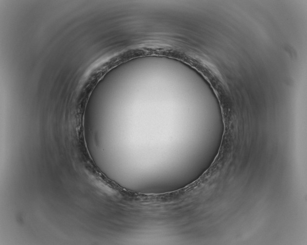 X0000112040920200908101357