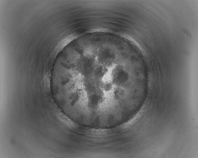 X0000112040921200908101357