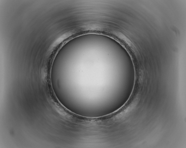 X0000112040922200908101357