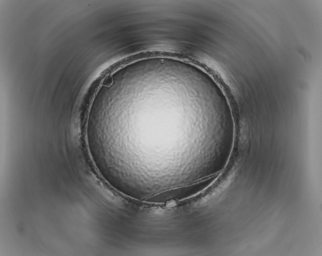 X0000112040923200908101357