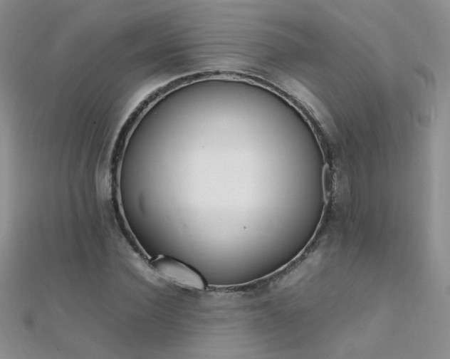X0000112040924200908101358