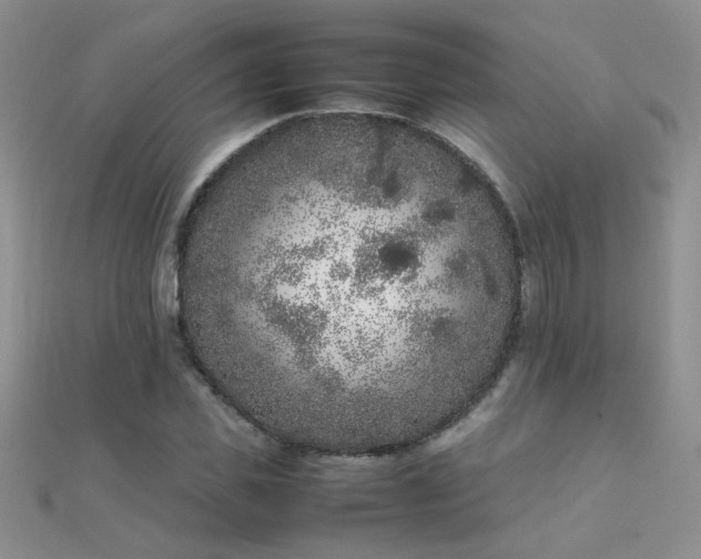X0000112040925200908101358