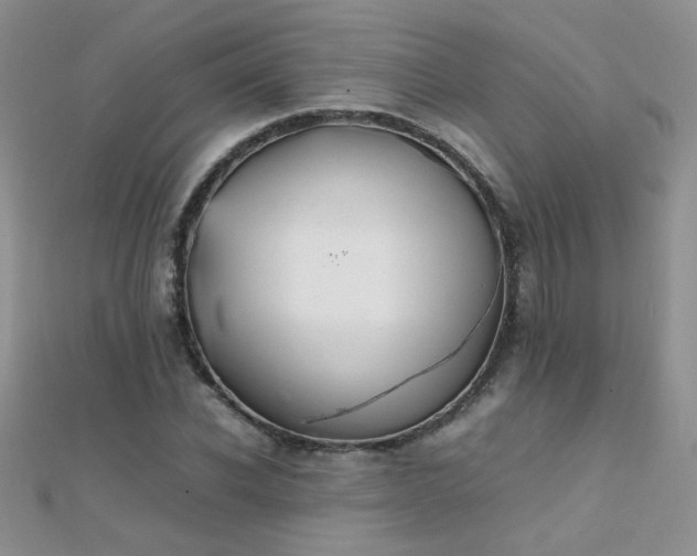 X0000112040926200908101358