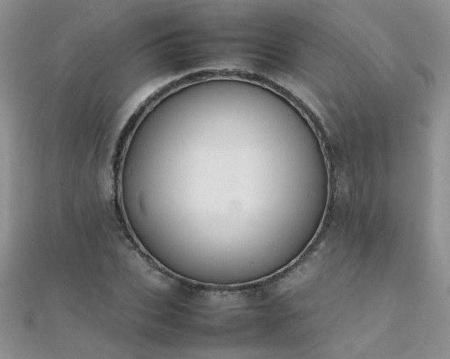 X0000112040927200908101358