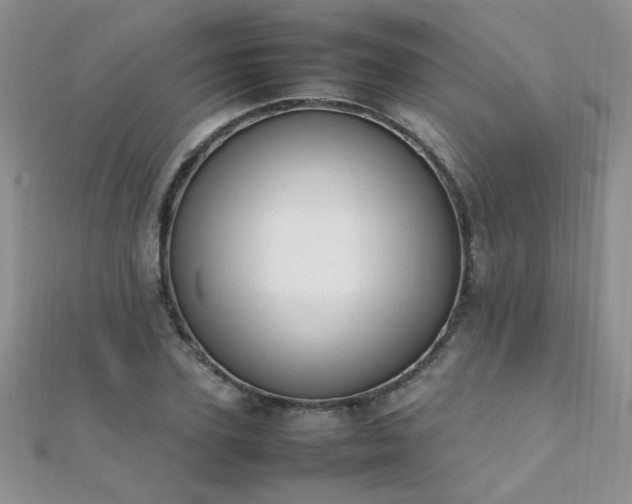 X0000112040931200908101358