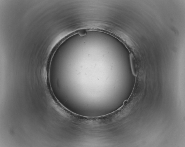 X0000112040936200908101358