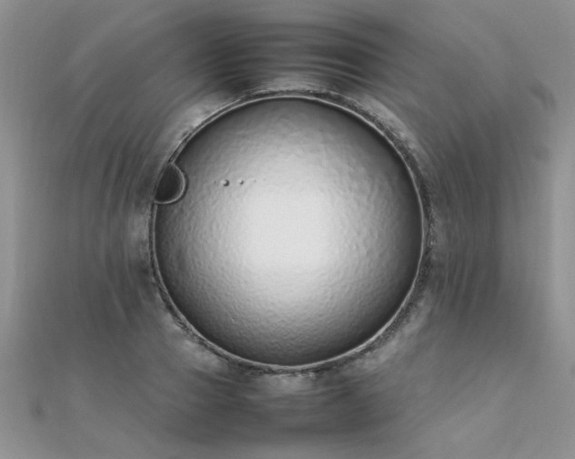 X0000112040937200908101358