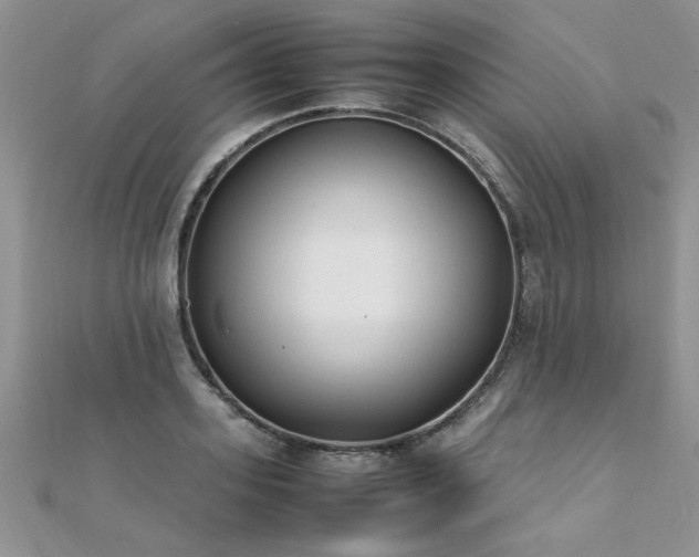 X0000112040939200908101358