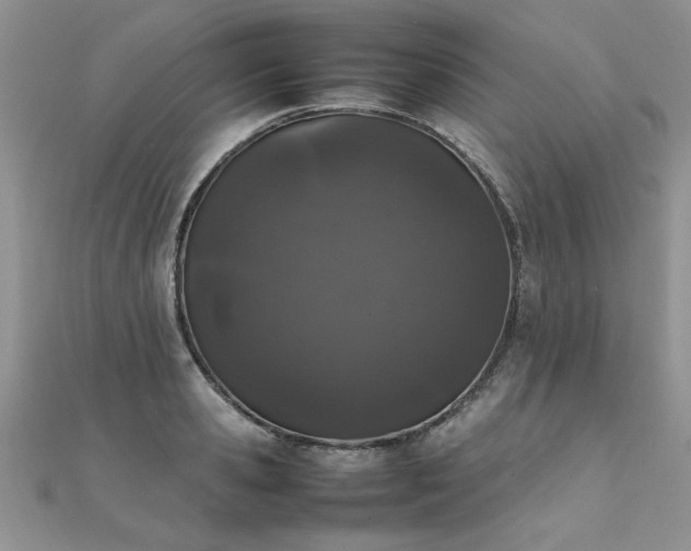 X0000112040941200908101358