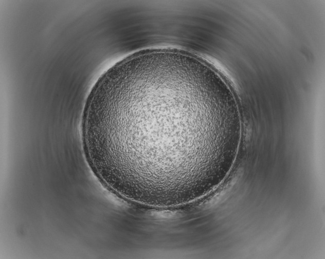 X0000112040943200908101358