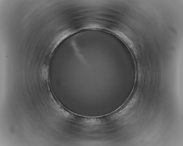 X0000112040945200908101358