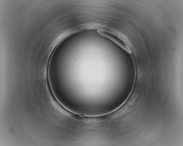 X0000112040946200908101358