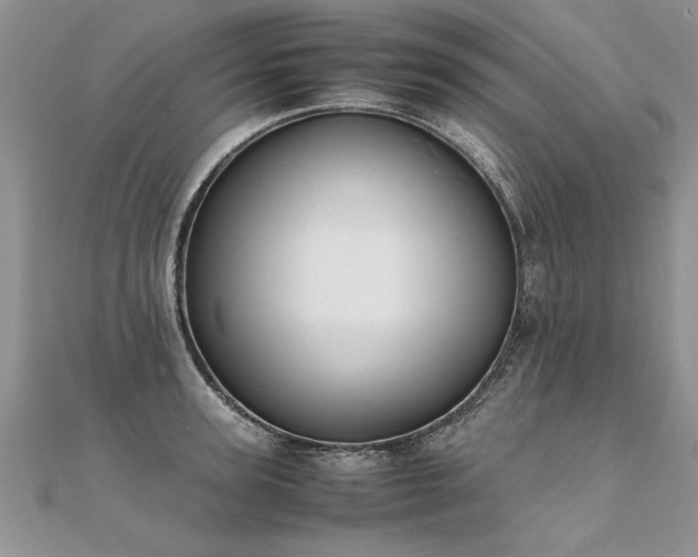 X0000112040947200908101358