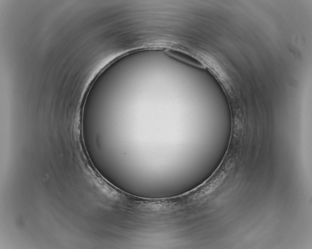 X0000112040948200908101358