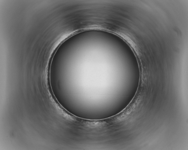 X0000112040949200908101358