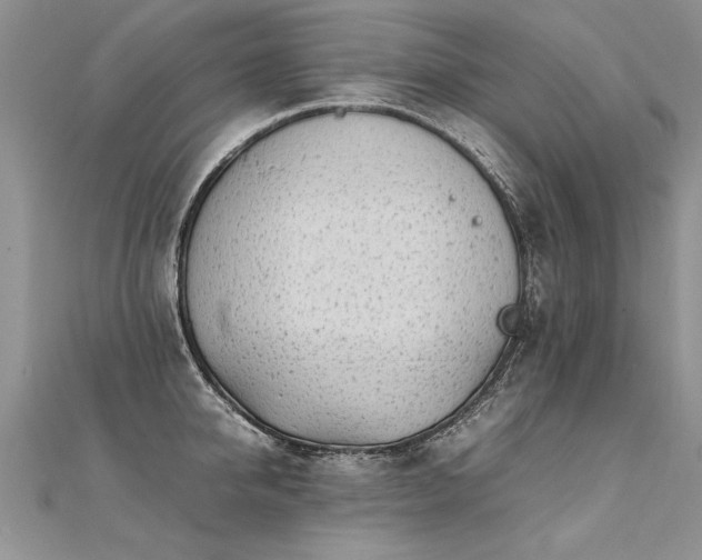 X0000112040950200908101358
