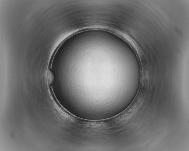 X0000112040951200908101358