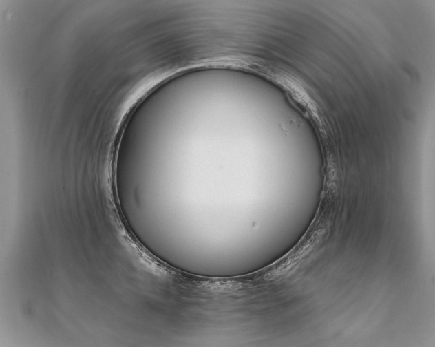 X0000112040952200908101358
